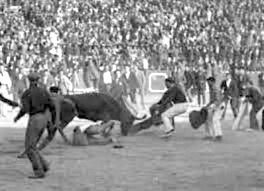 Purportedly Hemingway (in white trousers and dark shirt) in the bullring, attempting to drag a man away from a charging bull during the San Fermin Festival in Pamplona, Spain in July, 1925. The very trip that was the basis for his famous novel.