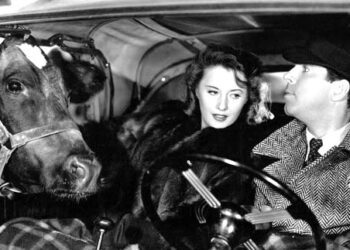 Only in the movies does a cow ingratiating herself upon a man and a woman signal to the audience that love is on the moo-ve. It happens here in 1940’s Remember the Night starring Barbara Stanwyck and Fred MacMurray.