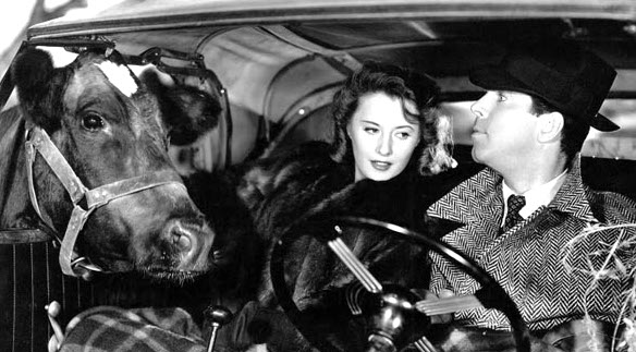 Only in the movies does a cow ingratiating herself upon a man and a woman signal to the audience that love is on the moo-ve. It happens here in 1940’s Remember the Night starring Barbara Stanwyck and Fred MacMurray.